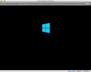 Windows10Preview__Running_